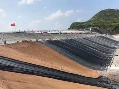 防滲膜小課堂：防滲土工膜的刺