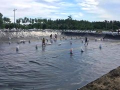 沼氣池土工膜鋪設(shè)施工中如何保