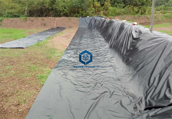 冬季鋪設(shè)魚塘防滲膜需要注意施工細節(jié) 冬季鋪設(shè)魚塘防滲膜需要注意施工細節(jié)