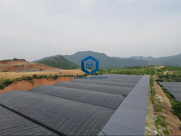 0.5mm土工膜在甲魚保溫大棚中的應(yīng)用及其優(yōu)勢 0.5mm土工膜在甲魚保溫大棚中的應(yīng)用及其優(yōu)勢