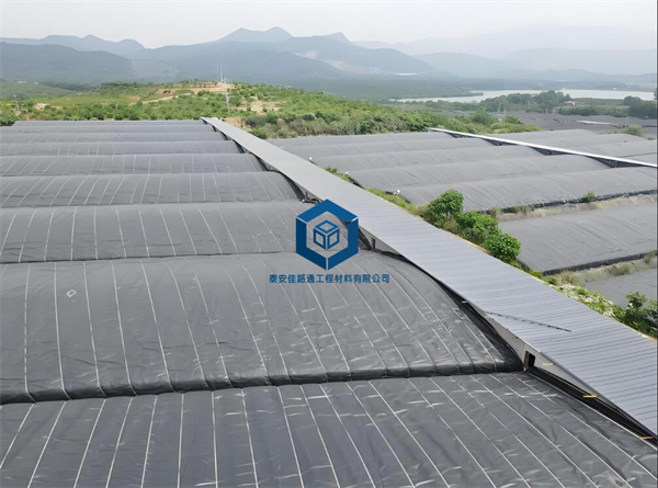 0.5mm土工膜在甲魚保溫大棚中的應(yīng)用及其優(yōu)勢 0.5mm土工膜在甲魚保溫大棚中的應(yīng)用及其優(yōu)勢
