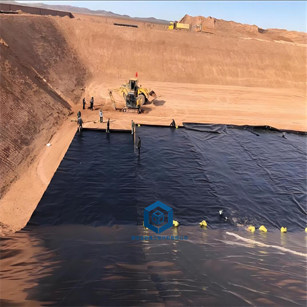 防滲土工膜在奶牛場污水池中的應(yīng)用及其優(yōu)勢 防滲土工膜在奶牛場污水池中的應(yīng)用及其優(yōu)勢