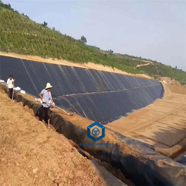 防滲土工膜在奶牛場污水池中的應(yīng)用及其優(yōu)勢 防滲土工膜在奶牛場污水池中的應(yīng)用及其優(yōu)勢