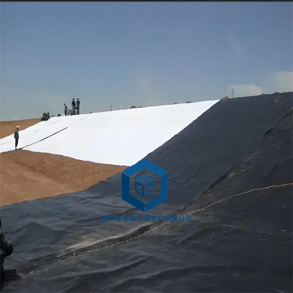2.0mm美標(biāo)防滲土工膜在尾礦庫的應(yīng)用及優(yōu)勢 2.0mm美標(biāo)防滲土工膜在尾礦庫的應(yīng)用及優(yōu)勢